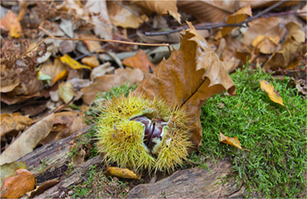 网页DDOS攻击平台