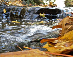 CC在线压力测试